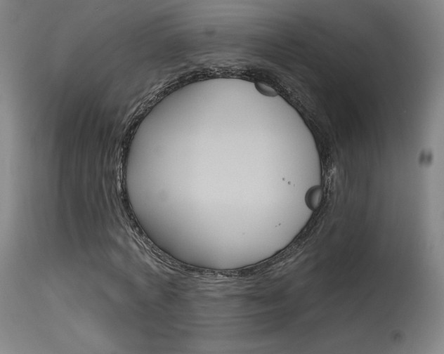 X0000115630772200911101118