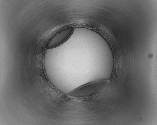 X0000115630773200911101118