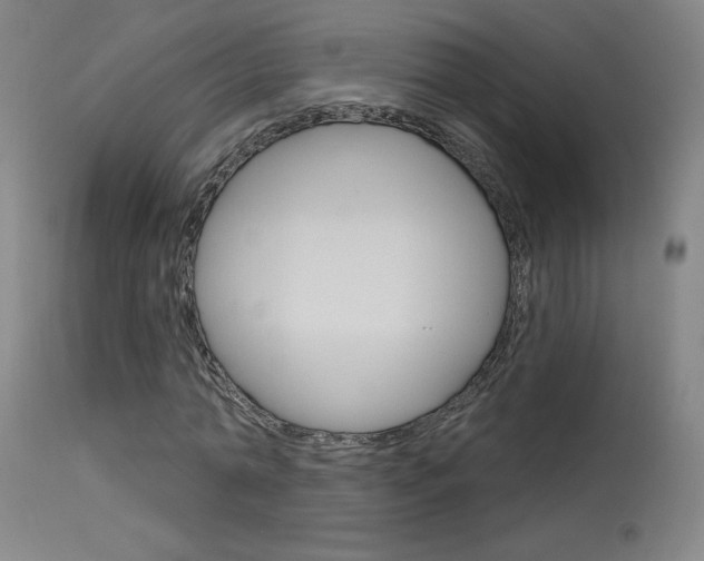 X0000115630774200911101118