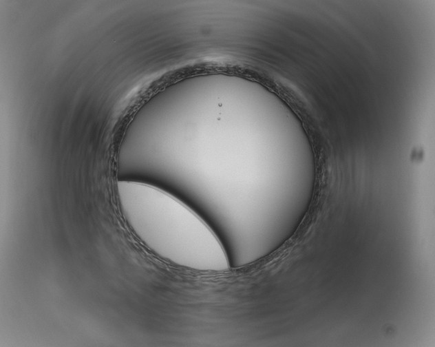 X0000115630776200911101118