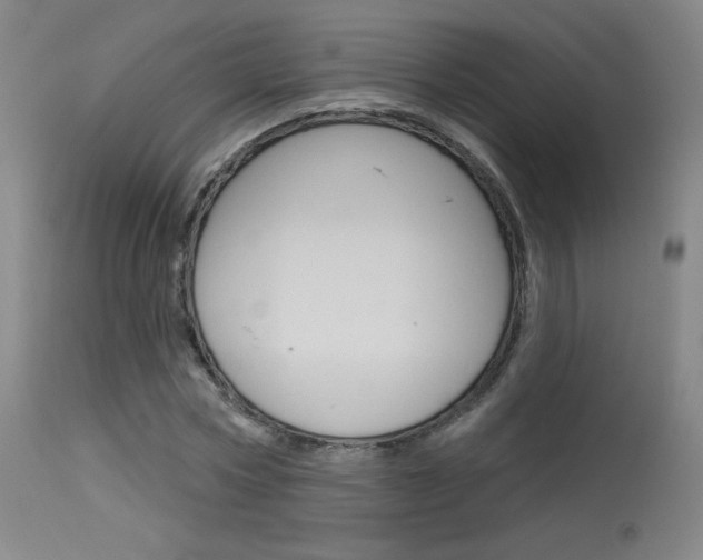 X0000115630778200911101118