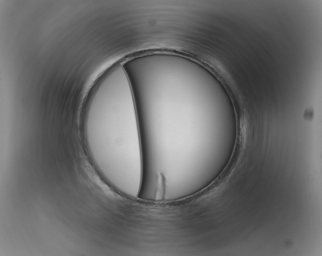X0000115630780200911101118