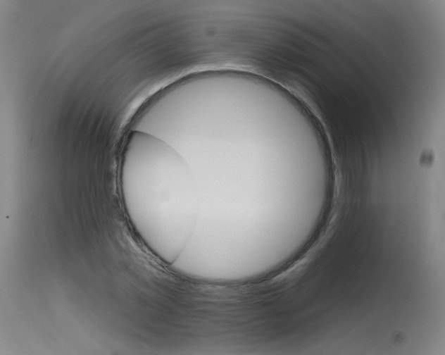 X0000115630781200911101118