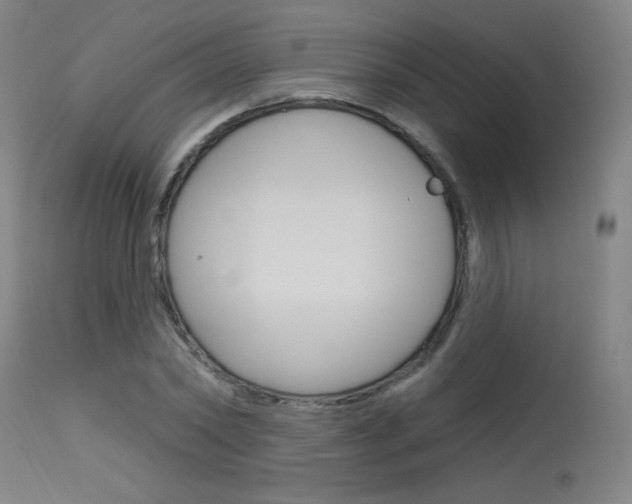 X0000115630782200911101118