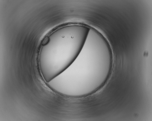 X0000115630783200911101118