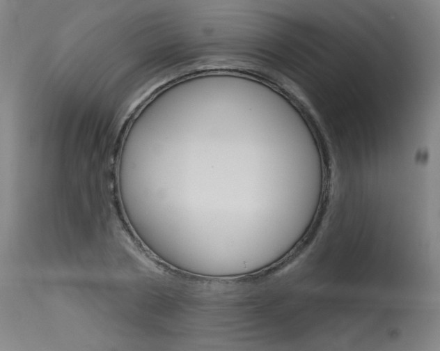 X0000115630786200911101117