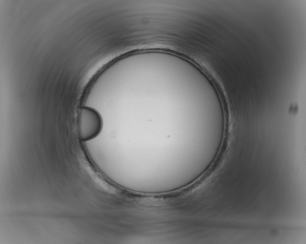 X0000115630789200911101117