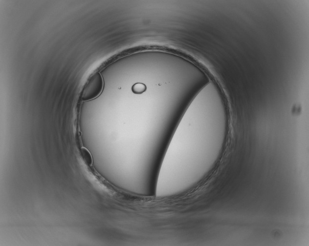 X0000115630791200911101117