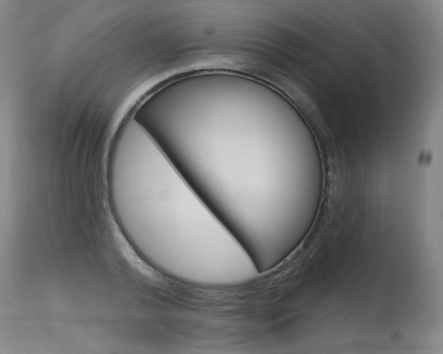 X0000115630792200911101117