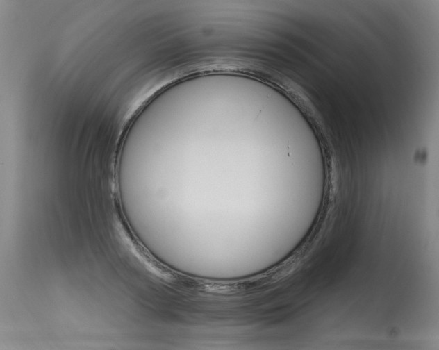 X0000115630794200911101117