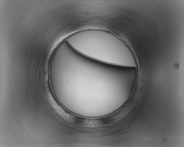 X0000115630795200911101117