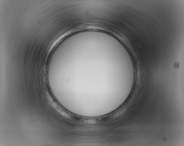 X0000115630798200911101117