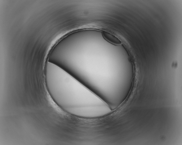 X0000115630800200911101117