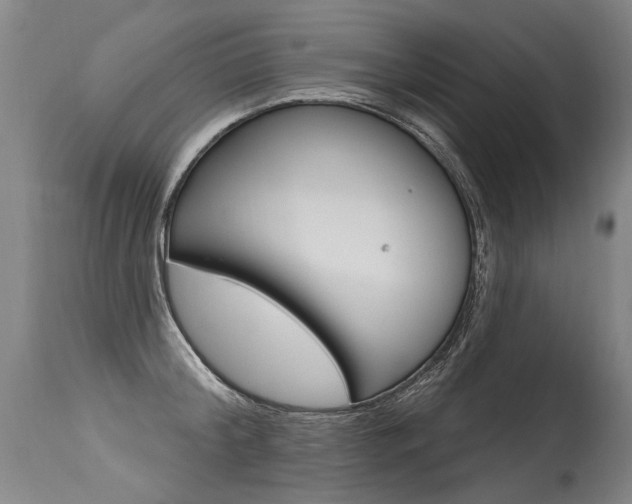 X0000115630804200911101117