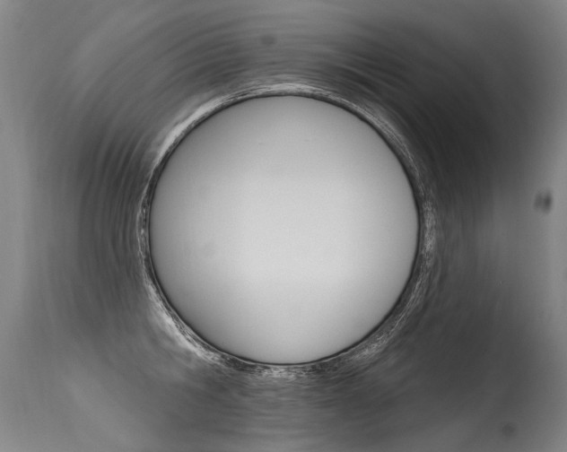 X0000115630806200911101117