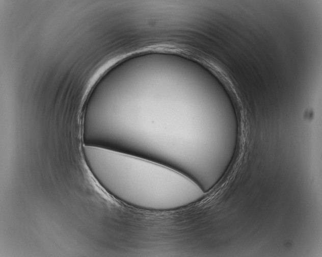 X0000115630808200911101117