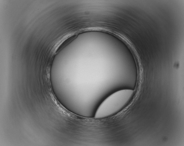 X0000115630809200911101117