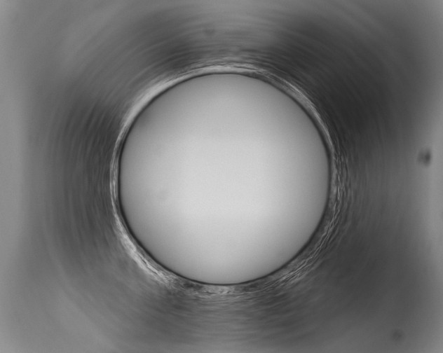 X0000115630811200911101117