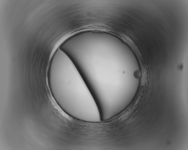 X0000115630812200911101117