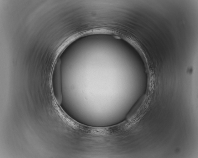 X0000115630813200911101117