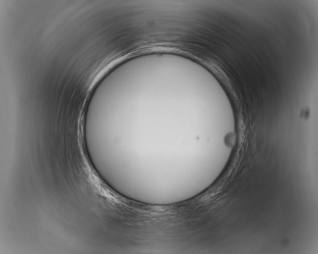 X0000115630814200911101117