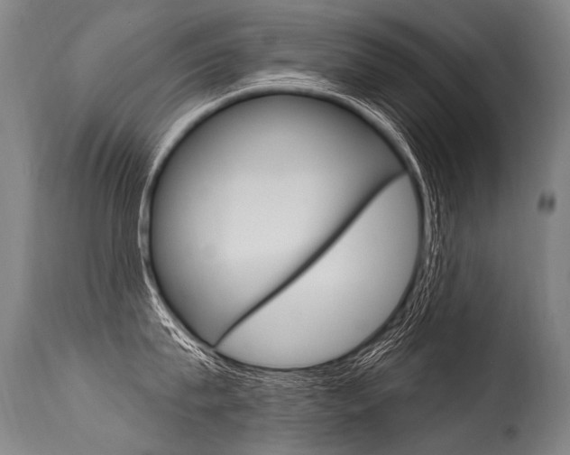 X0000115630815200911101117