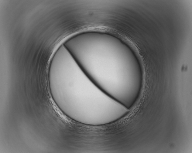 X0000115630816200911101117