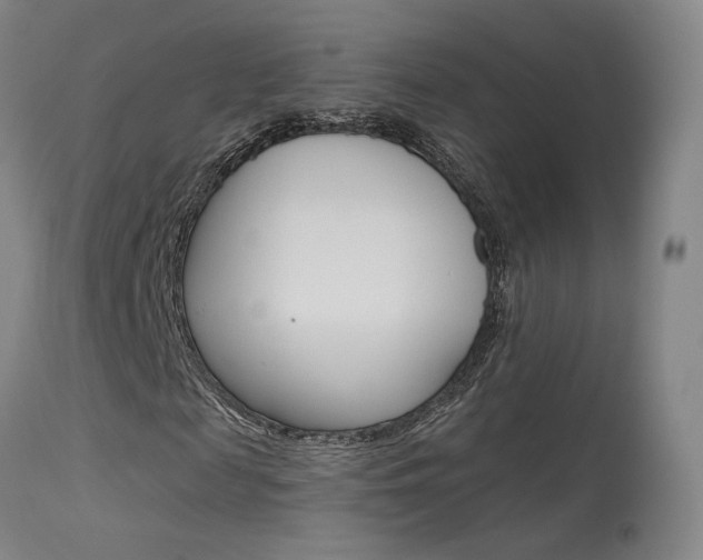 X0000115630817200911101116