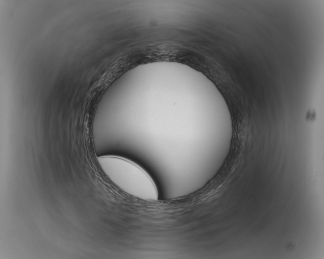 X0000115630818200911101116