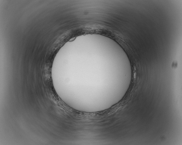 X0000115630819200911101116