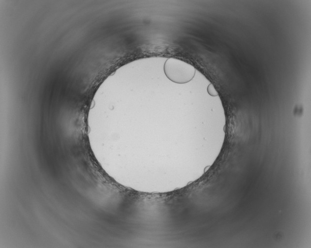 X0000115630820200911101116