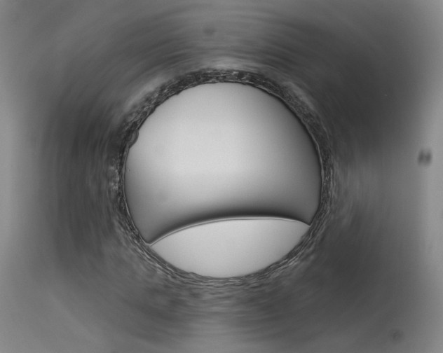 X0000115630821200911101116