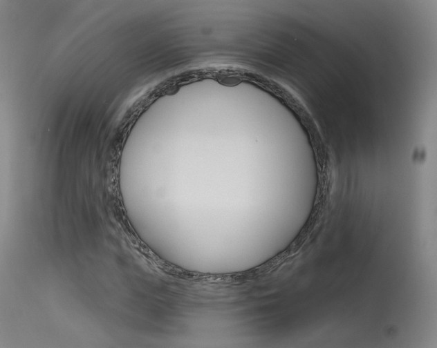 X0000115630823200911101116