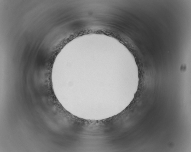 X0000115630824200911101116