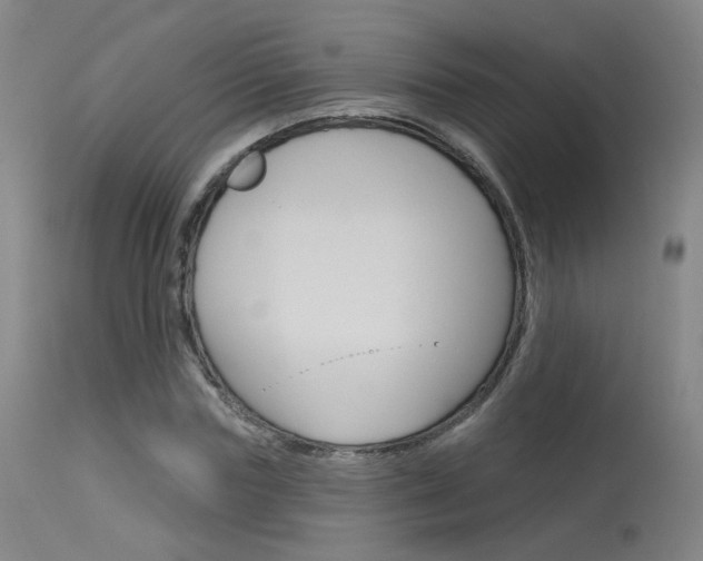 X0000115630827200911101117
