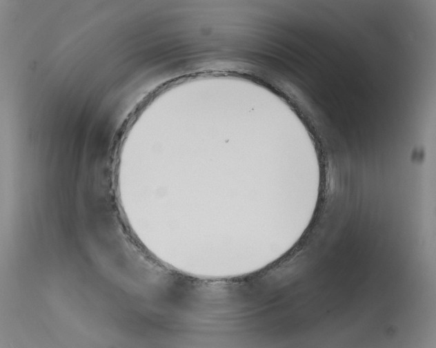 X0000115630828200911101117