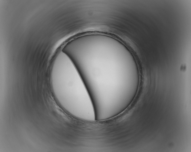 X0000115630830200911101117