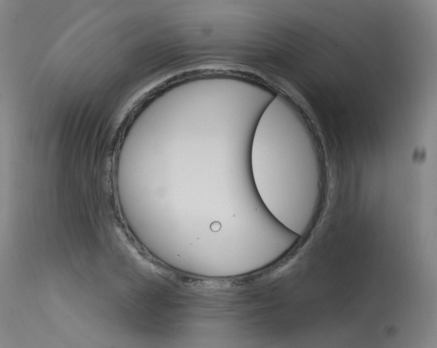 X0000115630831200911101117