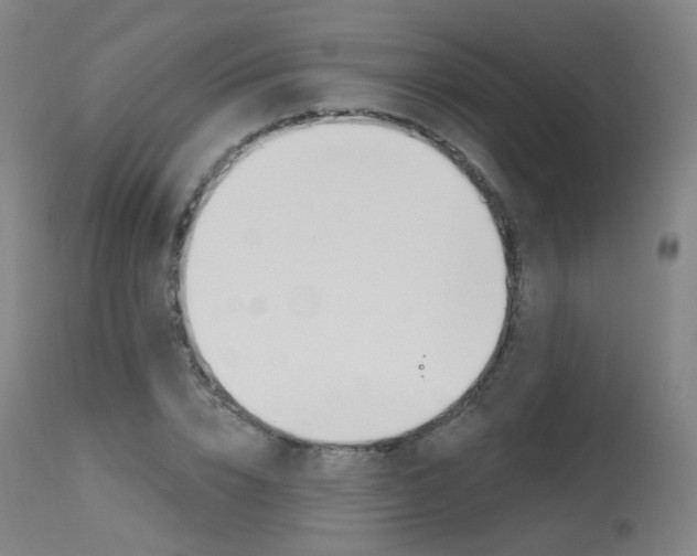 X0000115630832200911101117