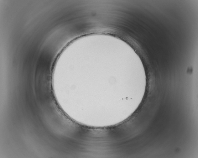 X0000115630836200911101117