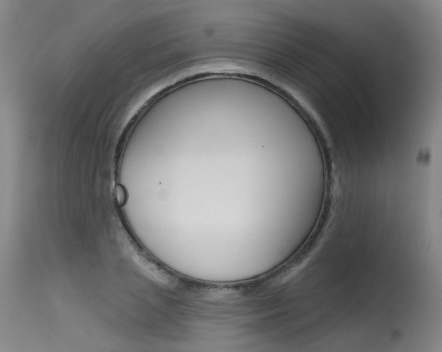 X0000115630837200911101117