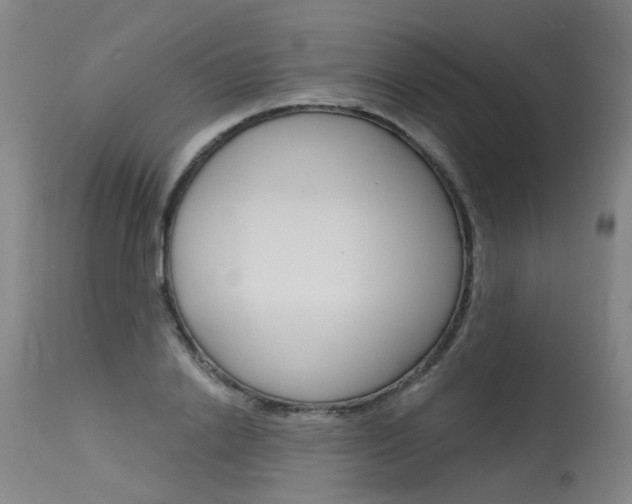 X0000115630838200911101117