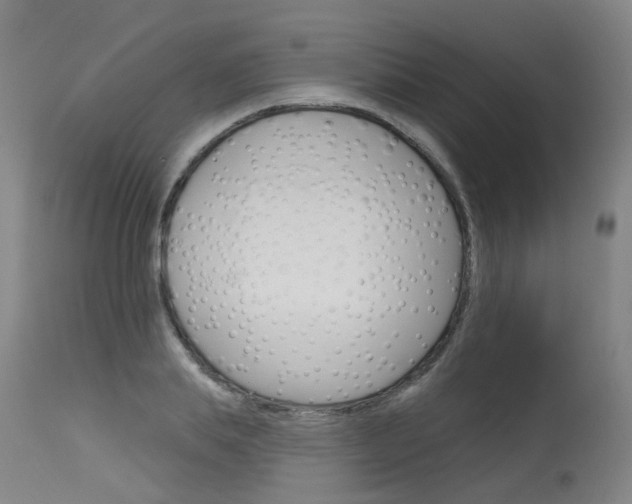 X0000115630839200911101117