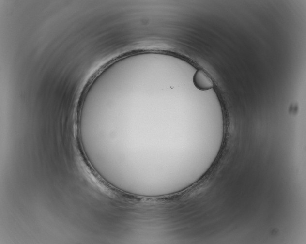 X0000115630840200911101117