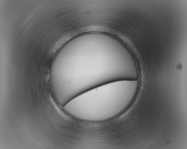 X0000115630841200911101117