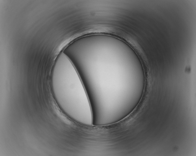X0000115630842200911101117