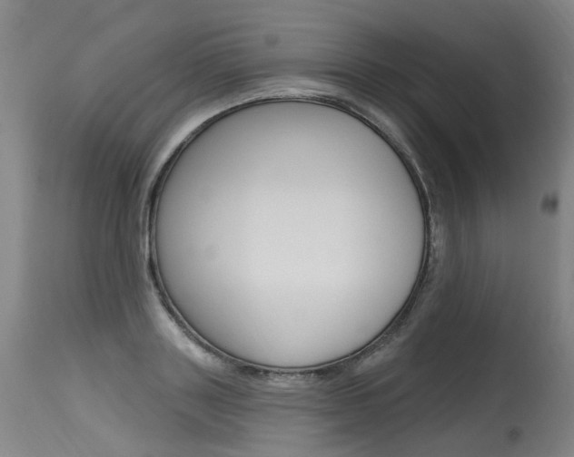 X0000115630843200911101117