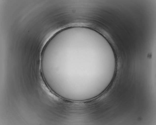 X0000115630844200911101117