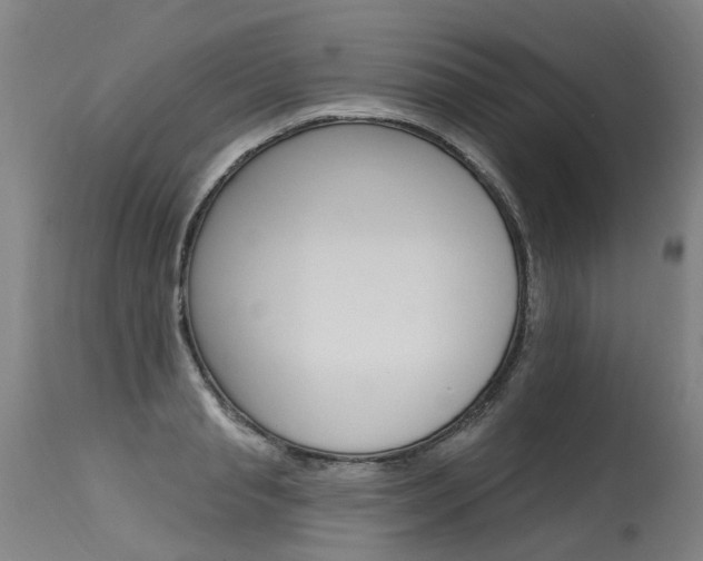 X0000115630845200911101117