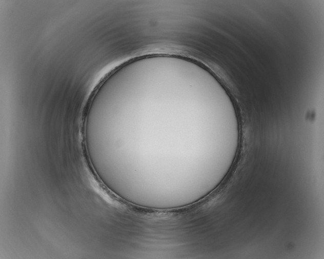 X0000115630846200911101117